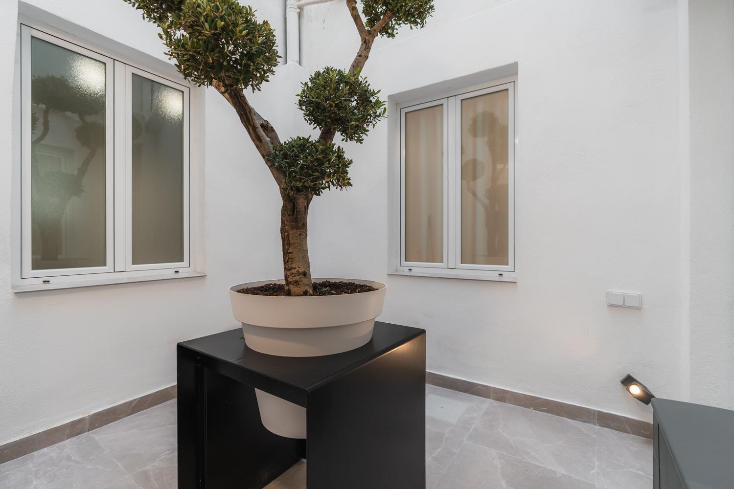 Tuguest Buensuceso Apartment Granada Exterior photo